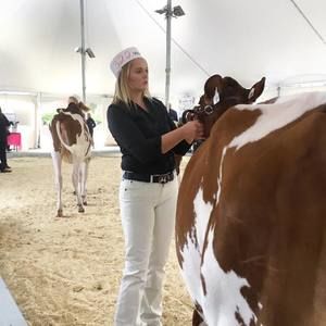 Meet your Posher, Shelby